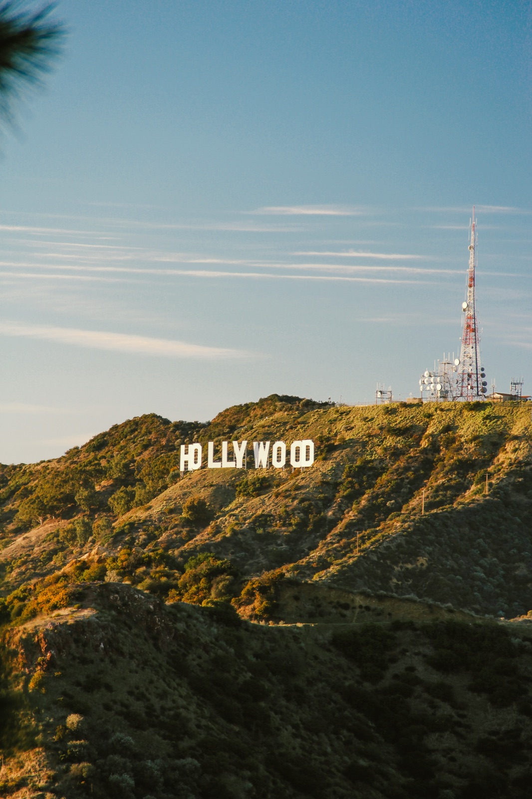 The Hollywood sign on a grassy hillside, Los Angeles, California