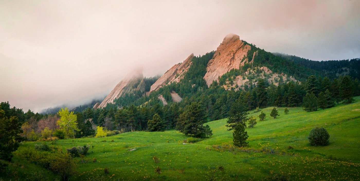 Boulder Flatirons at dawn with lush green meadow and wildflowers in the foreground