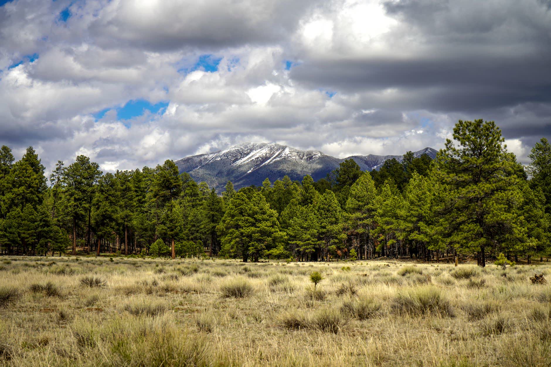 Flagstaff