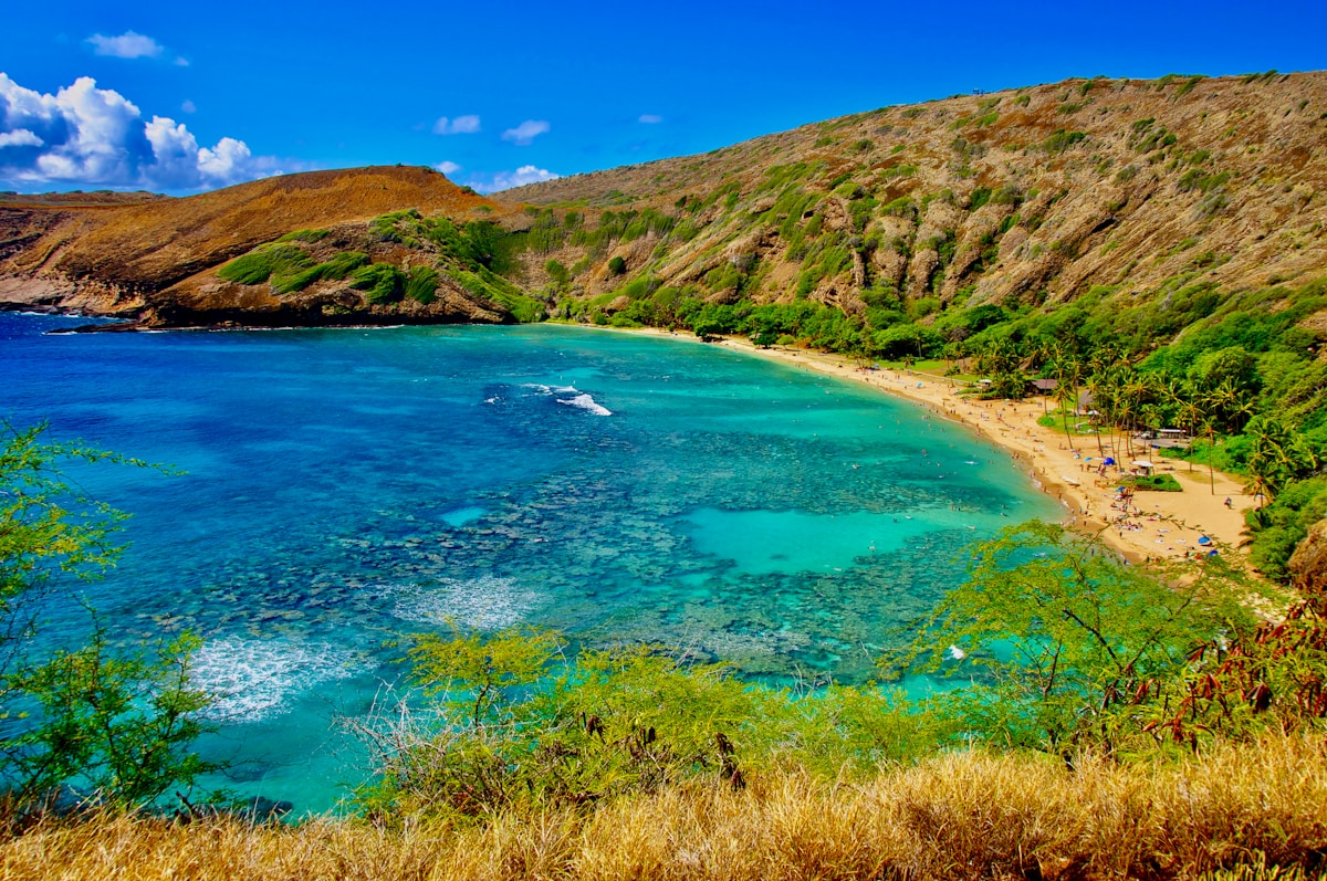 Waikiki Beach in Honolulu with Diamond Head crater in the background and outrigger canoes on the water