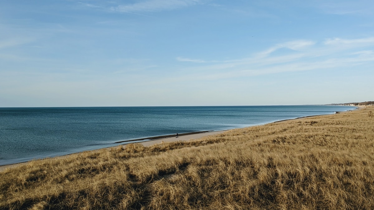 Grass-covered dunes and the Lake Michigan shoreline at Indiana Dunes