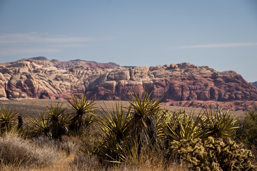 Red rock formations of Valley of Fire State Park at sunset near Las Vegas