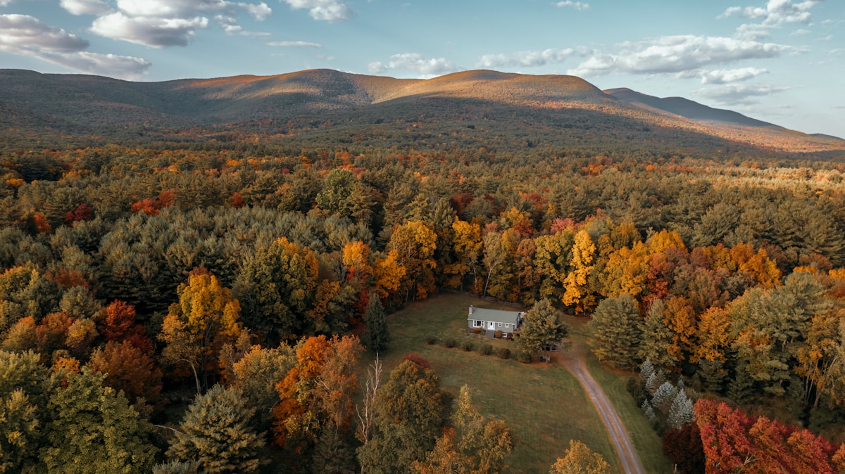 Autumn foliage along a forested road in upstate New York