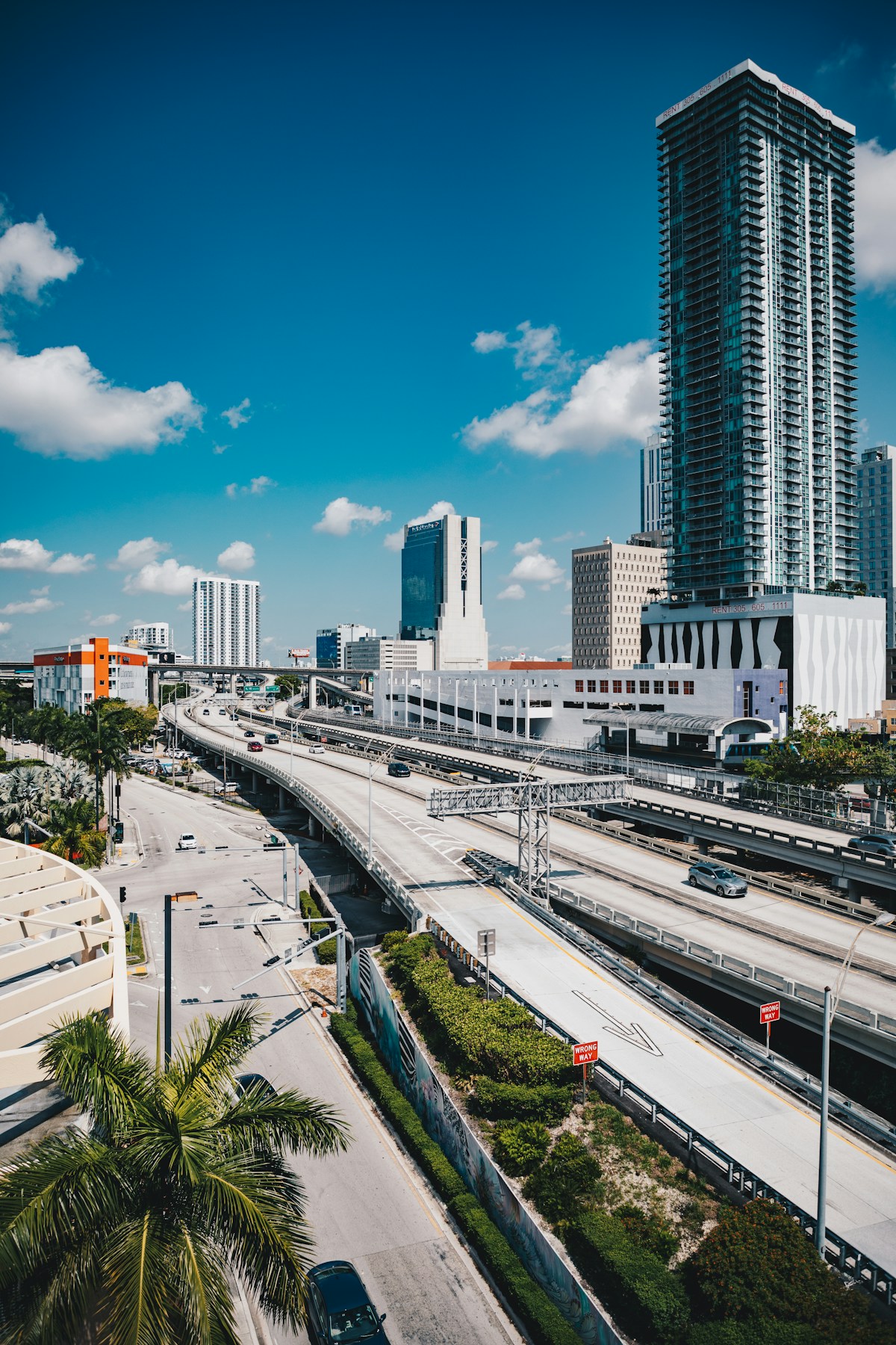 Miami skyline with highway and palm trees, Florida