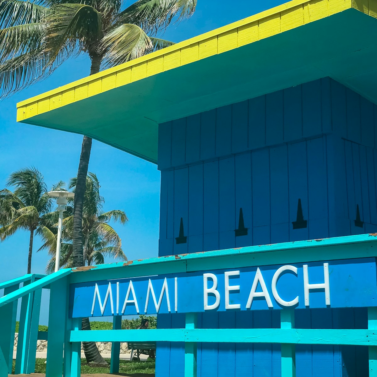Miami Beach room near coconut trees — digital nomad guide to Miami, Florida
