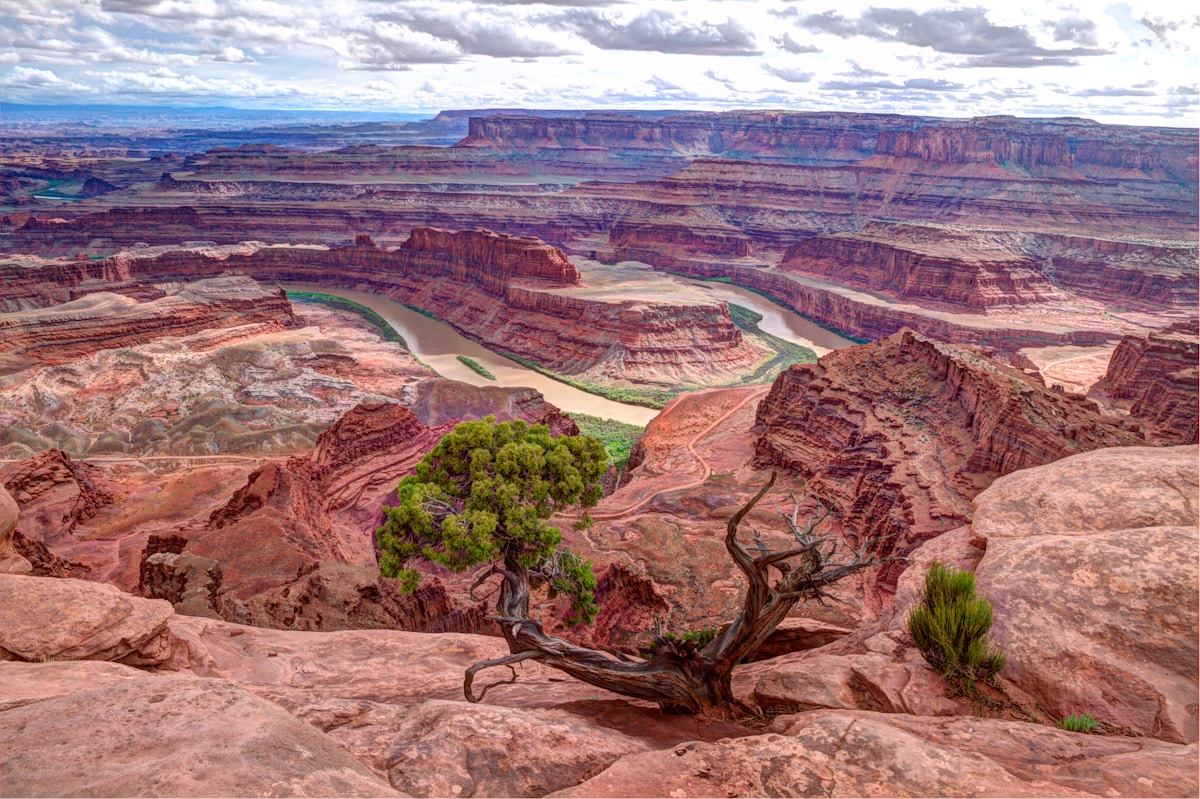 Aerial view of the canyon landscape at Dead Horse Point, Utah — day trip from Moab