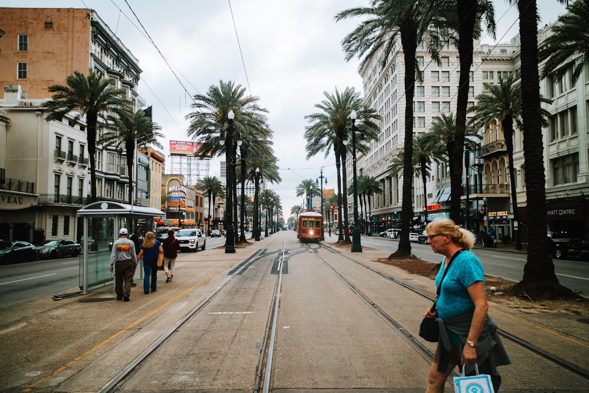 Streetcar rolling down a palm-lined street in New Orleans, Louisiana