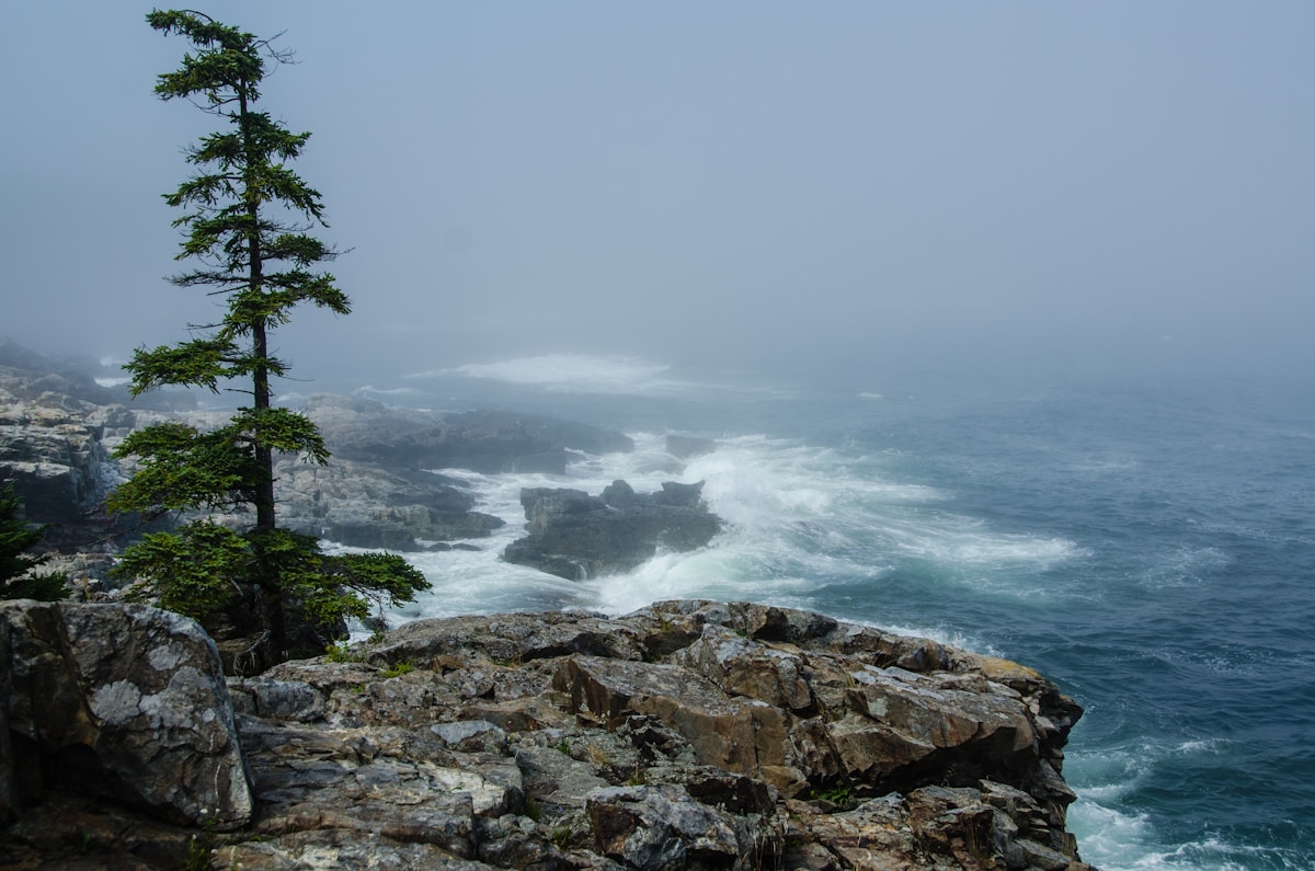 Rocky Atlantic coastline in Acadia National Park, Maine
