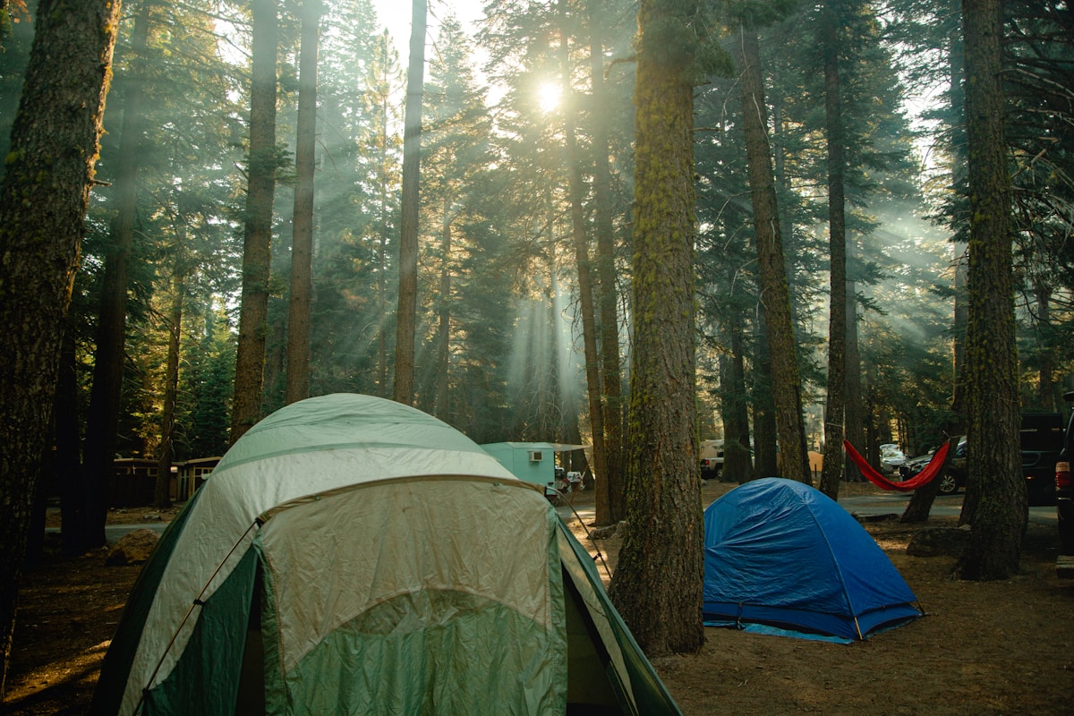 Campsite in a US national park with pine trees and mountain backdrop