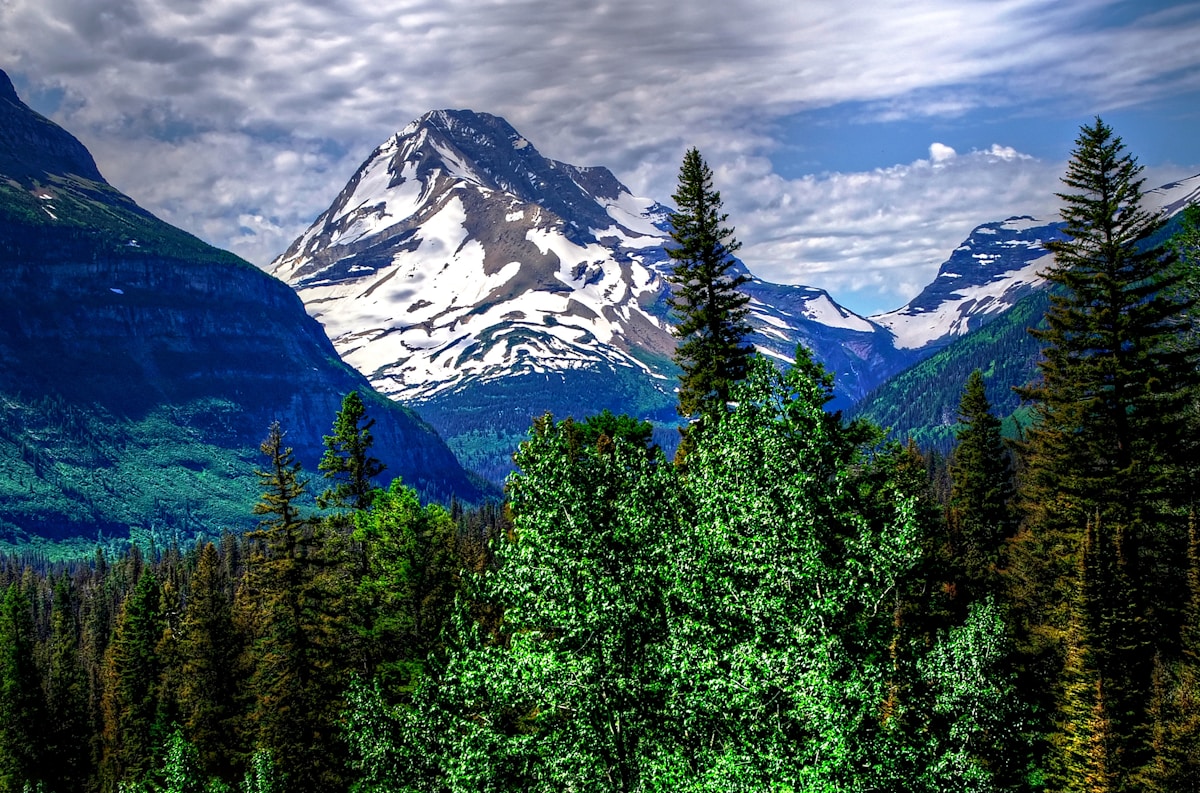 Mountain peaks above evergreen forest near Glacier National Park