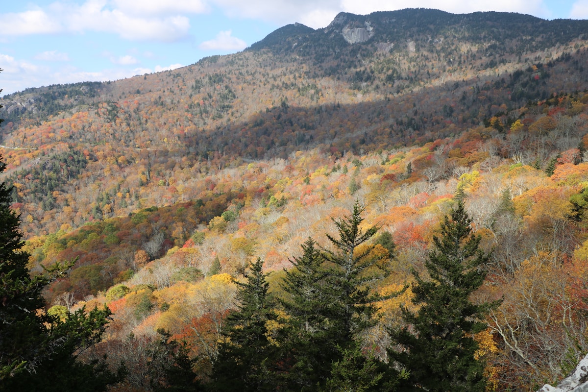 Autumn foliage blanketing rolling hills with a mountain peak in the background, Newland, North Carolina