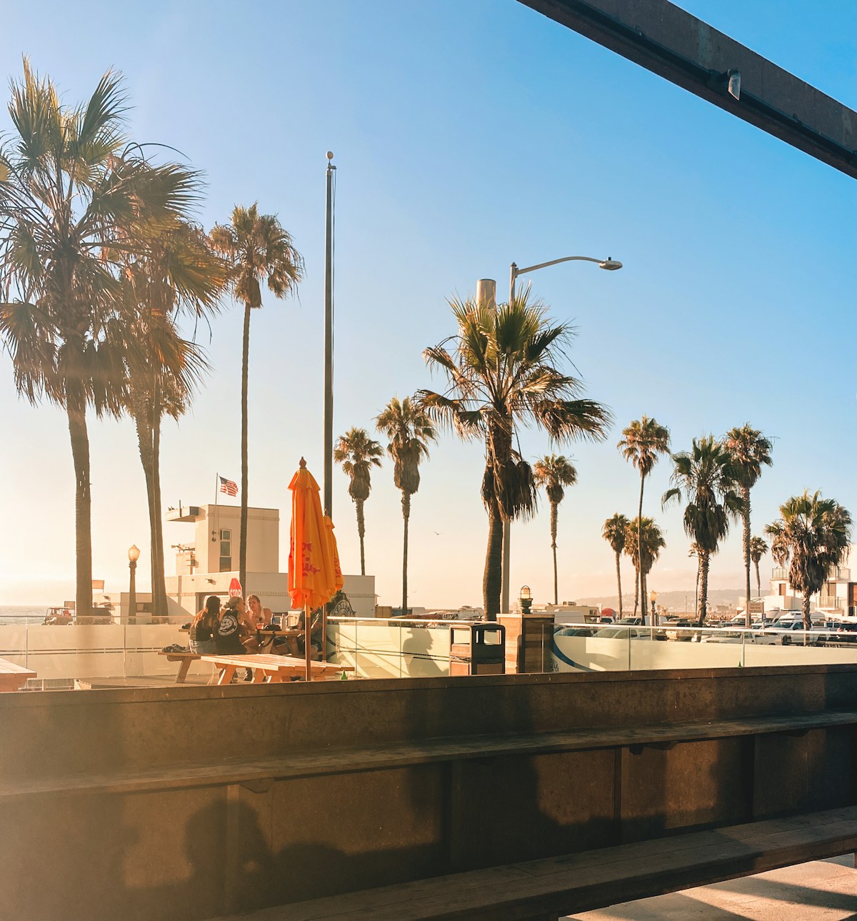 Palm trees and Pacific Ocean beach viewed from a balcony in San Diego, California