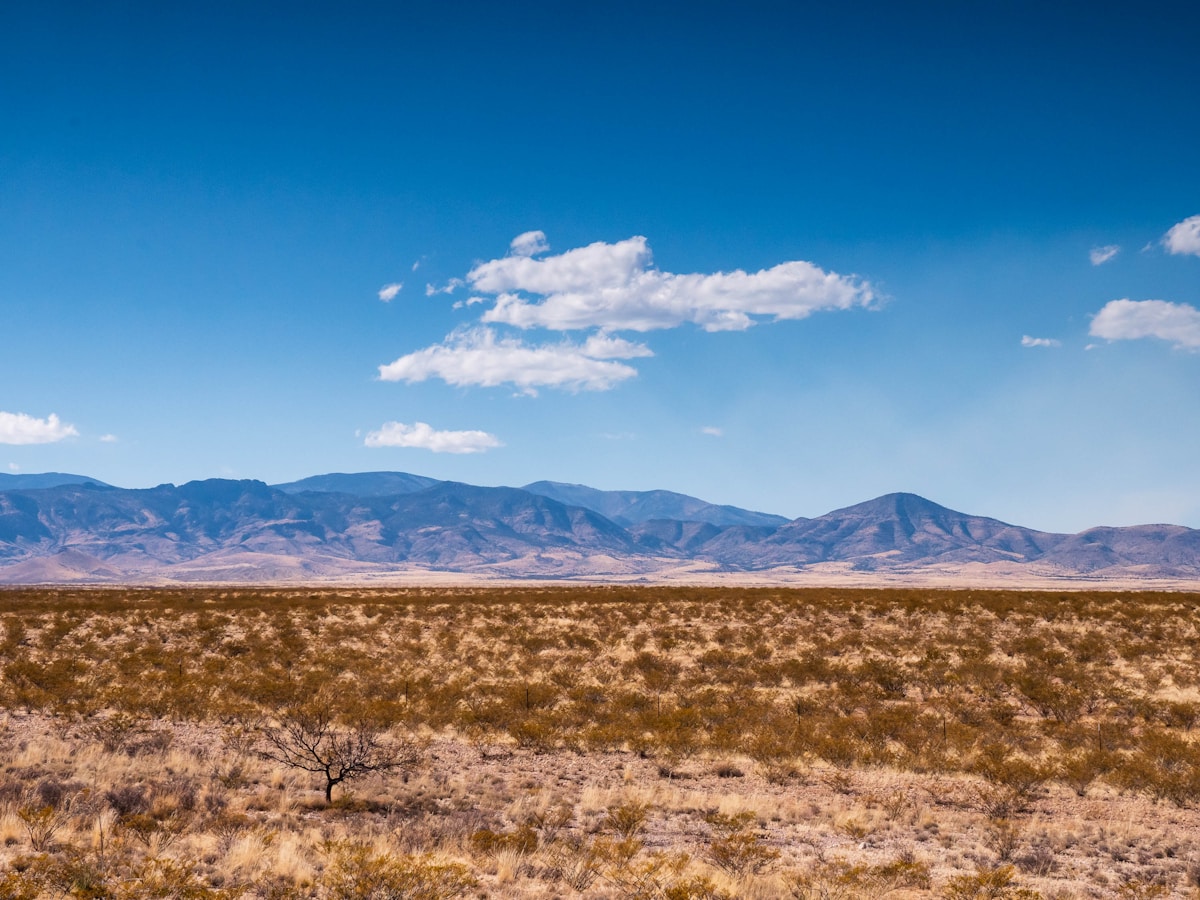 Wide open field with Sangre de Cristo Mountains in the distance, New Mexico