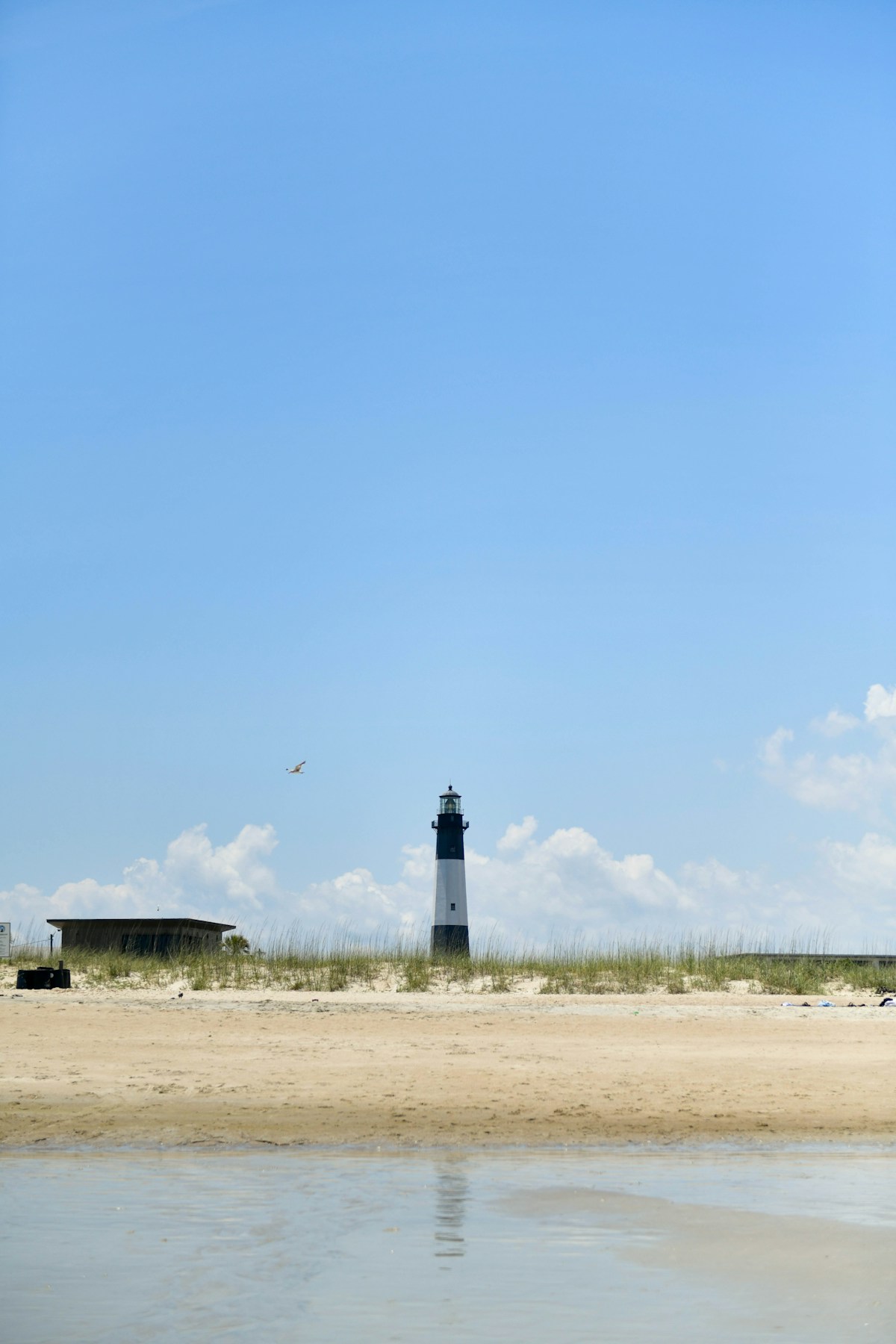 Tybee Island lighthouse on the Georgia coast under a clear blue sky