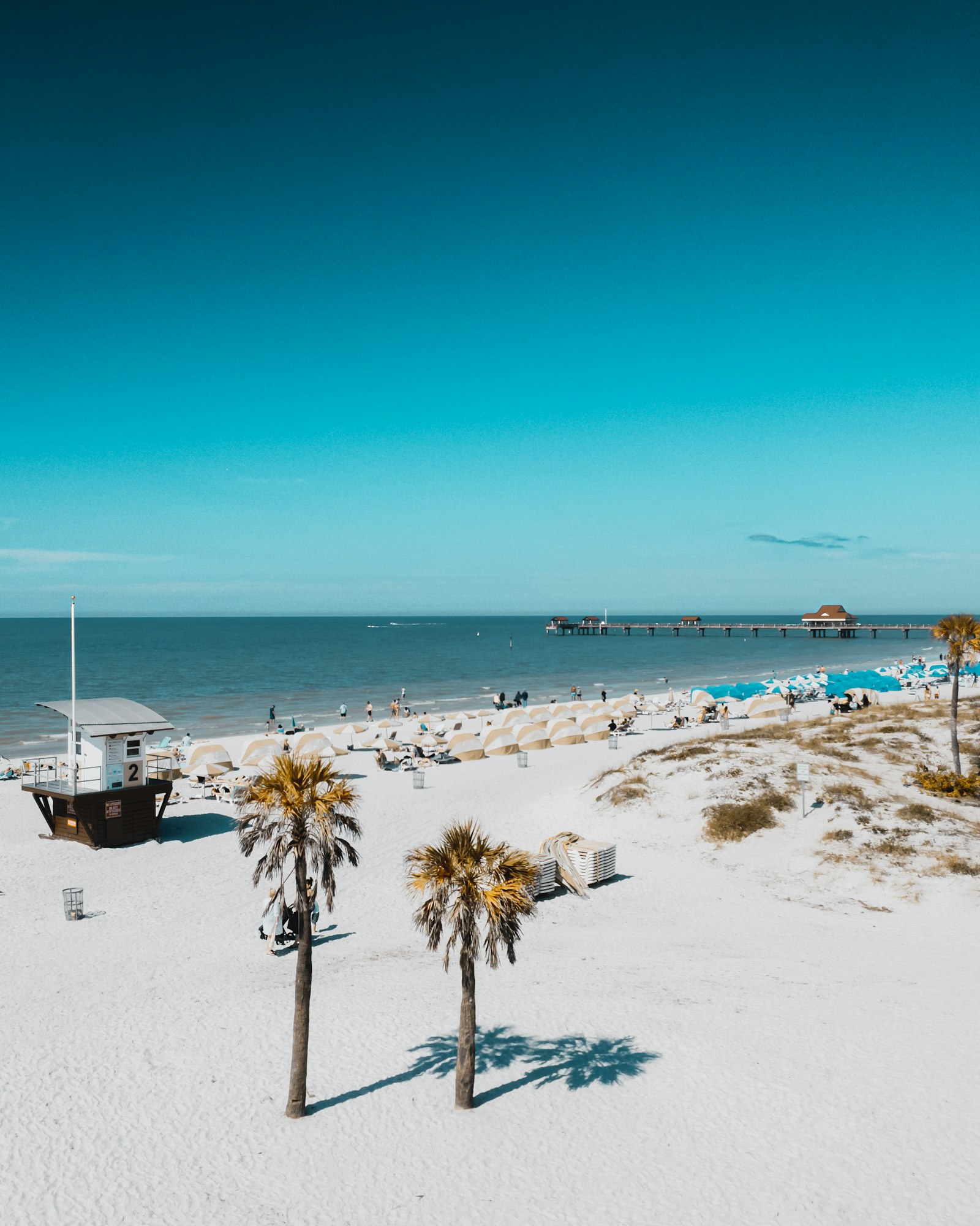 Clearwater Beach with white sand, palm trees, and the Pier 60 extending into the Gulf of Mexico, Florida
