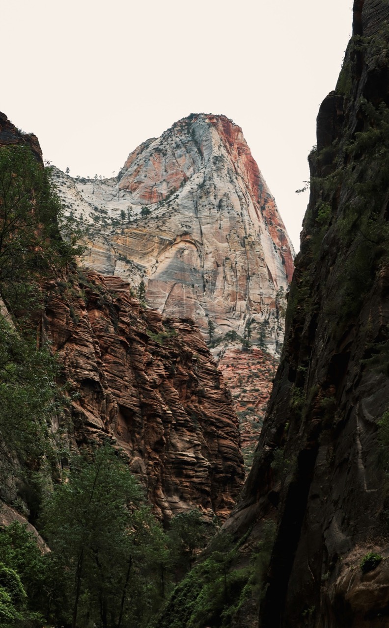Rocky mountain formations in Zion National Park, Utah
